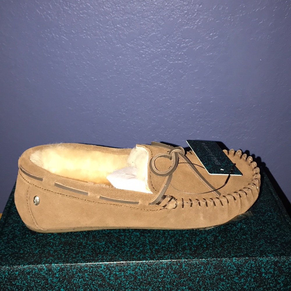 Shoe